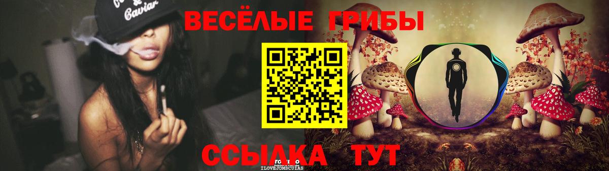 Псилоцибиновые грибы Psilocybe Воркута